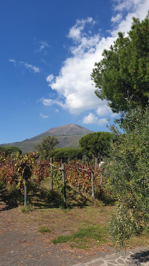 Vila Beb Casale Pompei Rendine Boscotrecase Exteriér fotografie