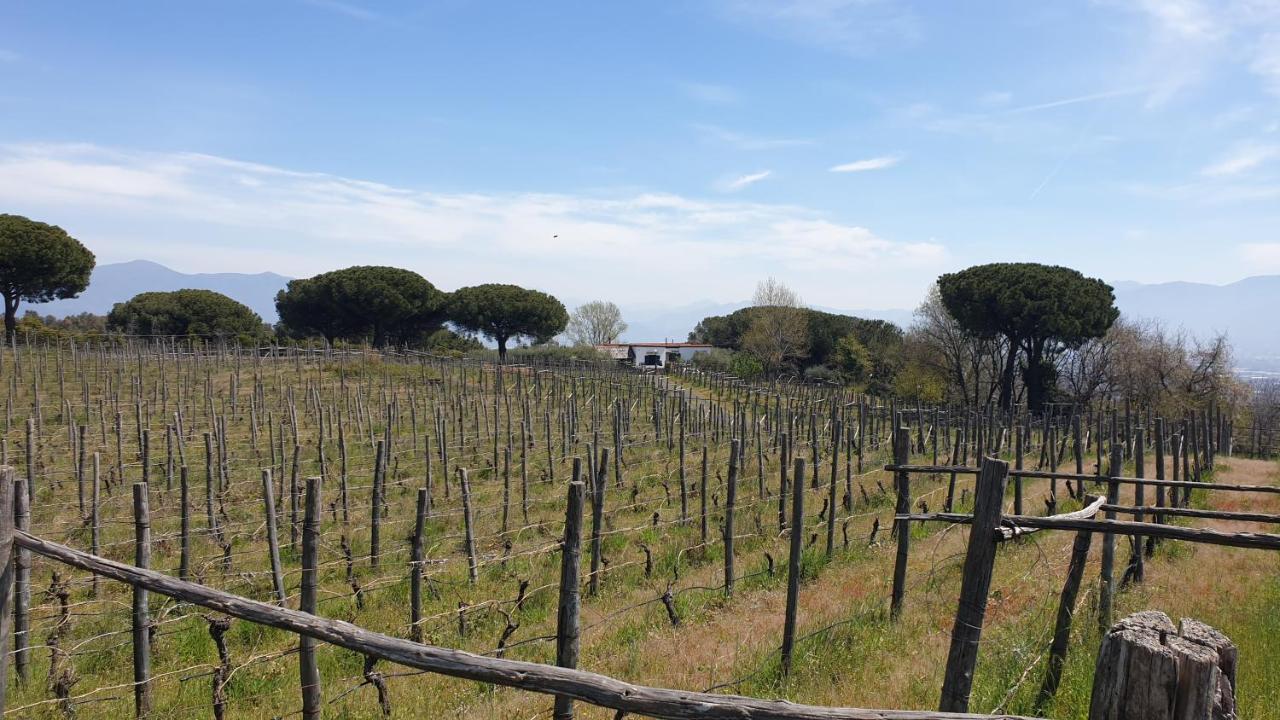 Vila Beb Casale Pompei Rendine Boscotrecase Exteriér fotografie