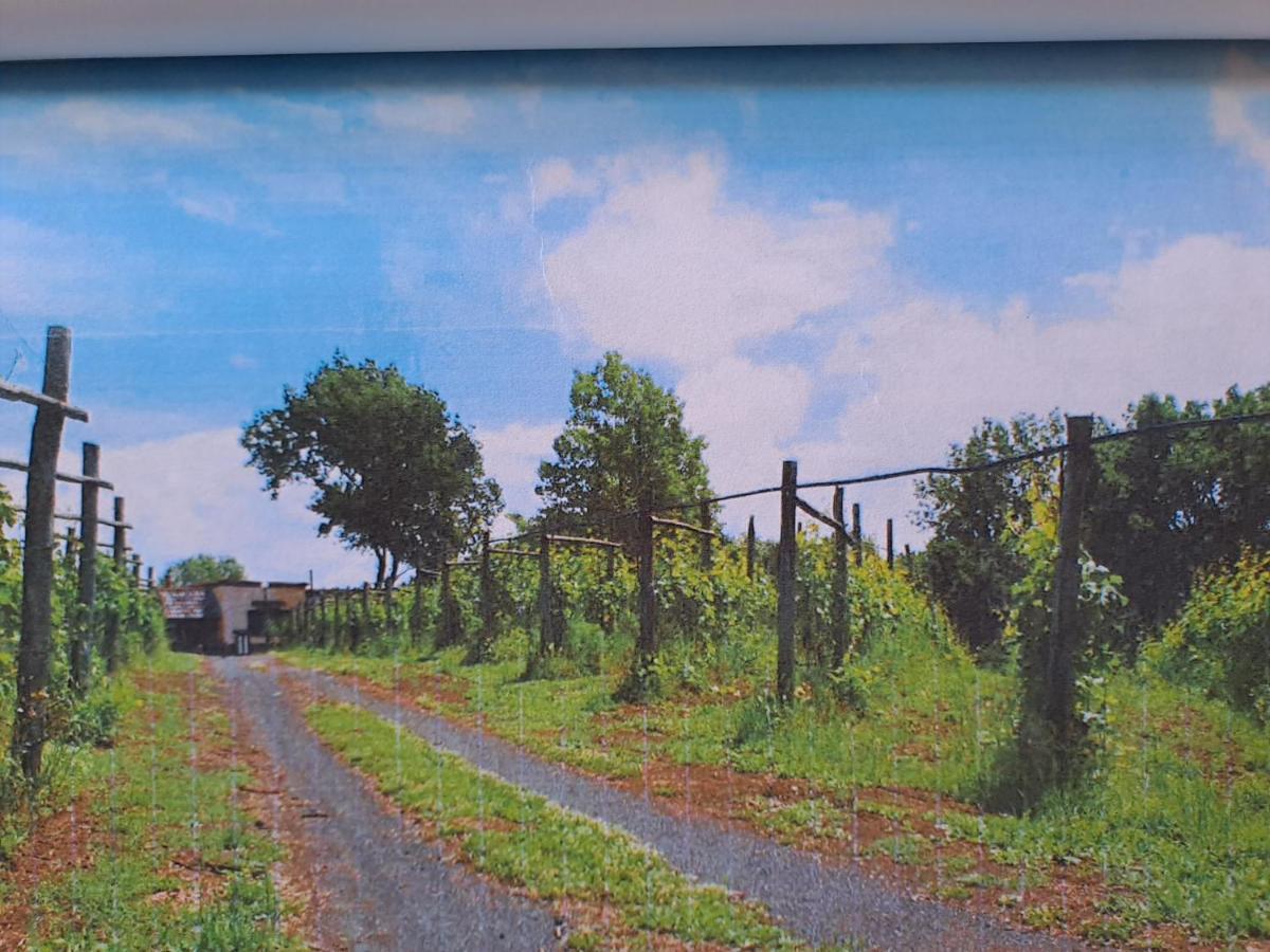 Vila Beb Casale Pompei Rendine Boscotrecase Exteriér fotografie
